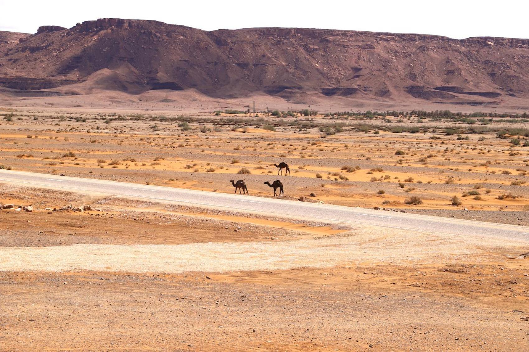 Porte De Sahara Ouzina Esterno foto