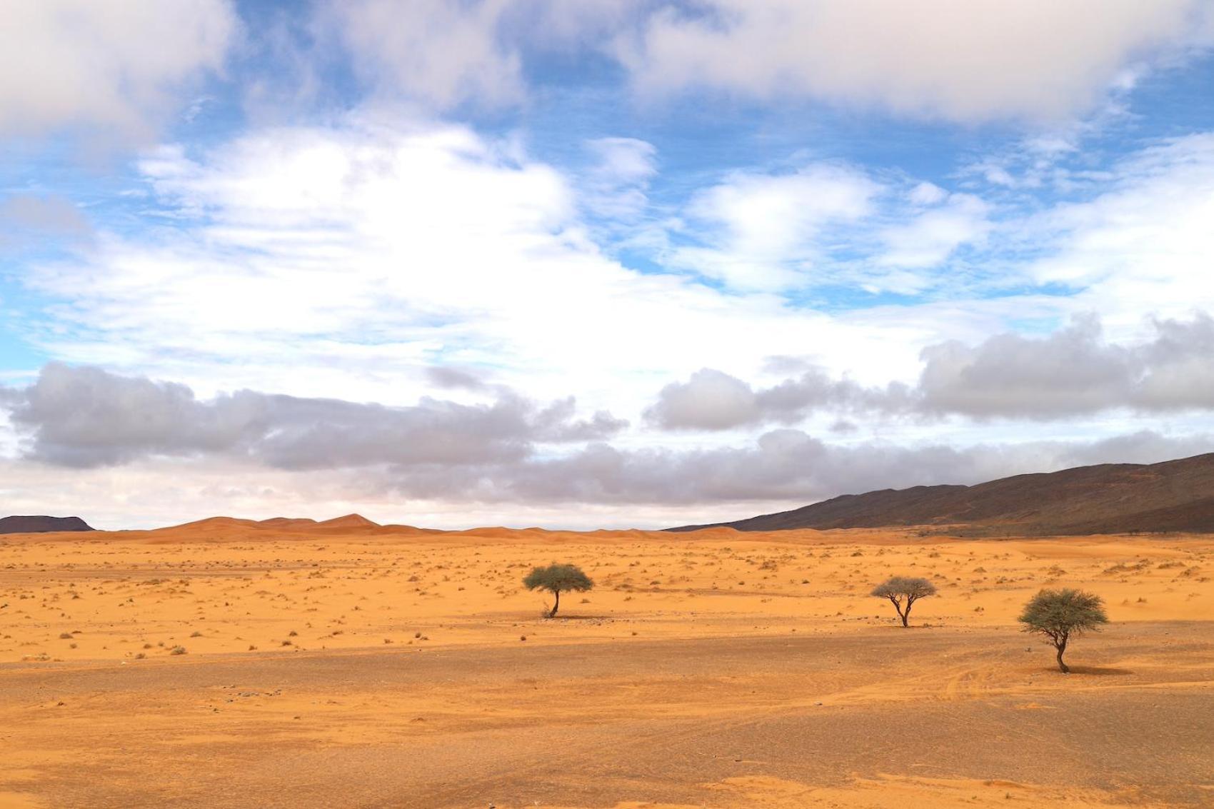 Porte De Sahara Ouzina Esterno foto